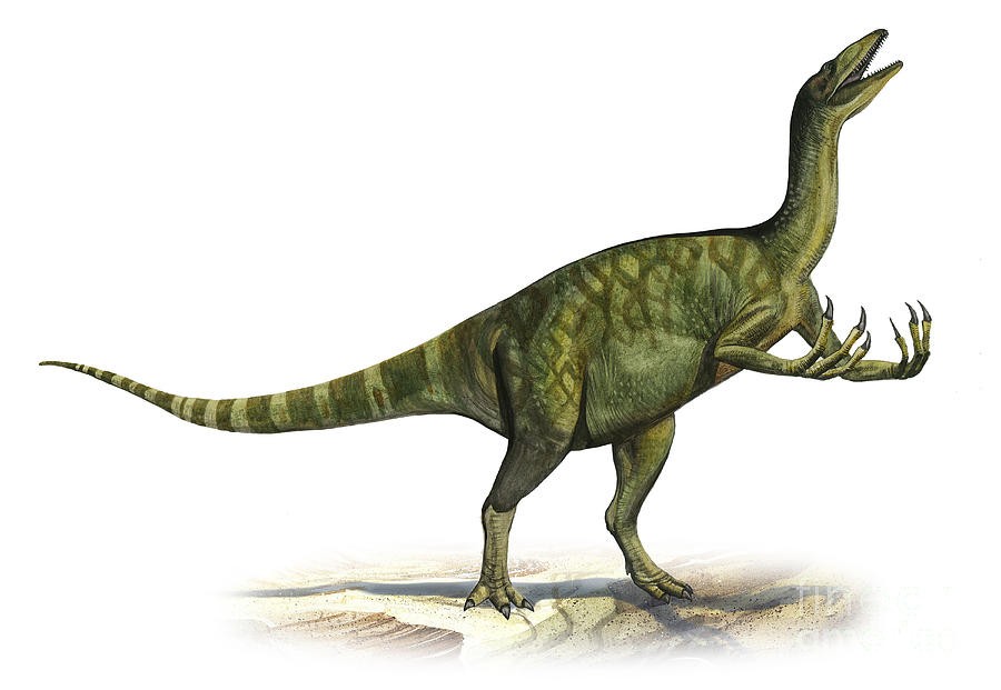 deinocheirus-mirificus-a-prehistoric-sergey-krasovskiy_cee8.jpg