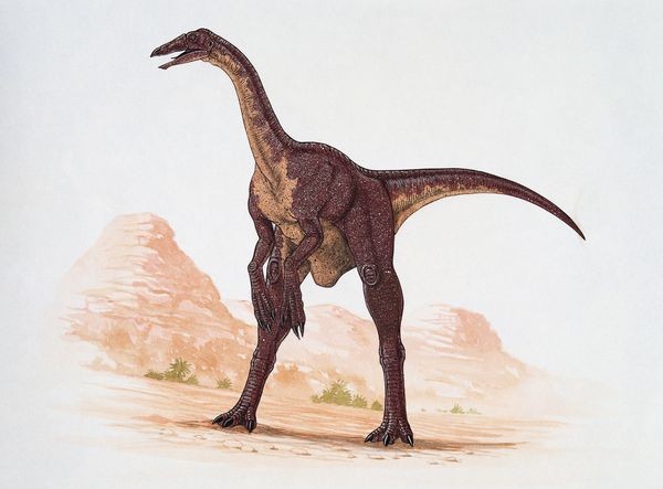 Deinocheirus Pictures & Facts - The Dinosaur Database