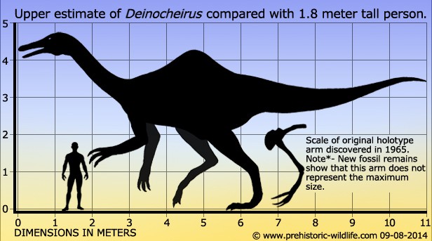 Deinocheirus dinosaurs, illustration - Stock Image - C048/2646 - Science  Photo Library