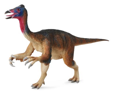 Deinocheirus Pictures & Facts - The Dinosaur Database