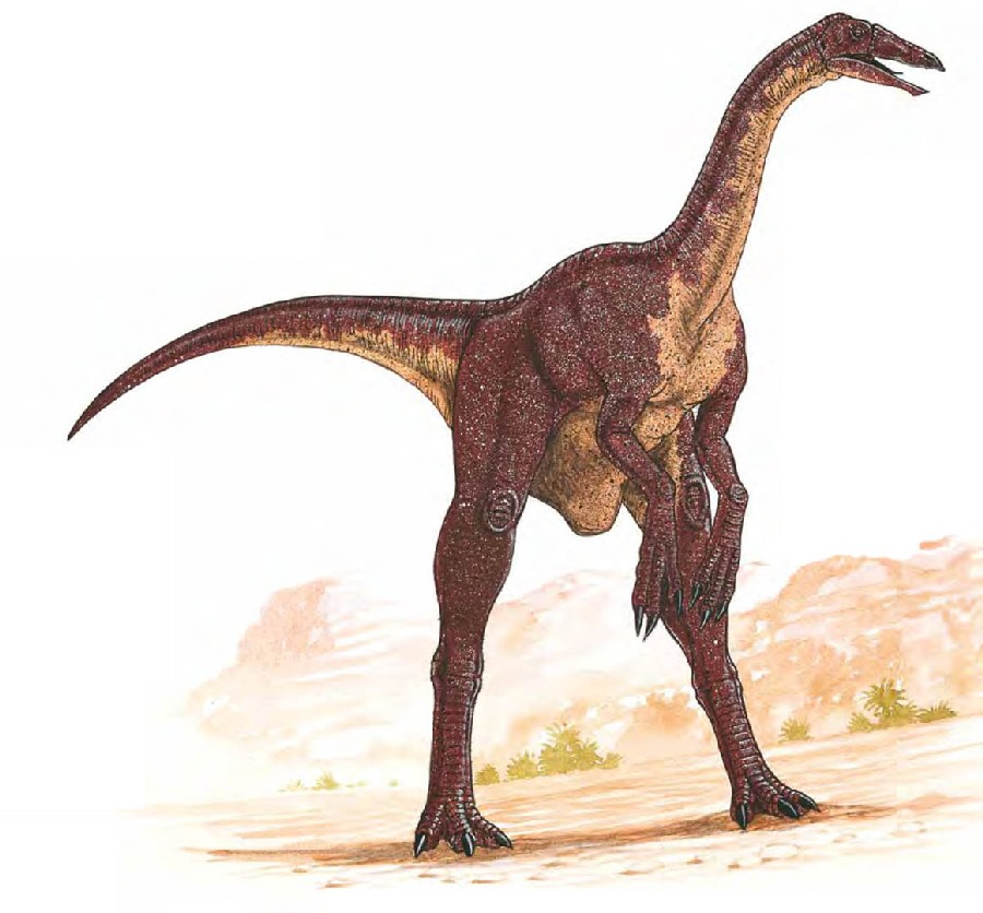 Deinocheirus Pictures & Facts - The Dinosaur Database