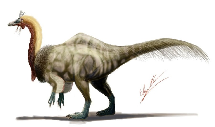 A Dinosaur A Day — Deinocheirus mirificus