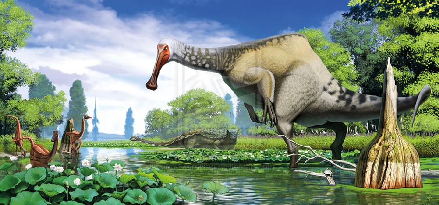 Deinocheirus Pictures & Facts - The Dinosaur Database