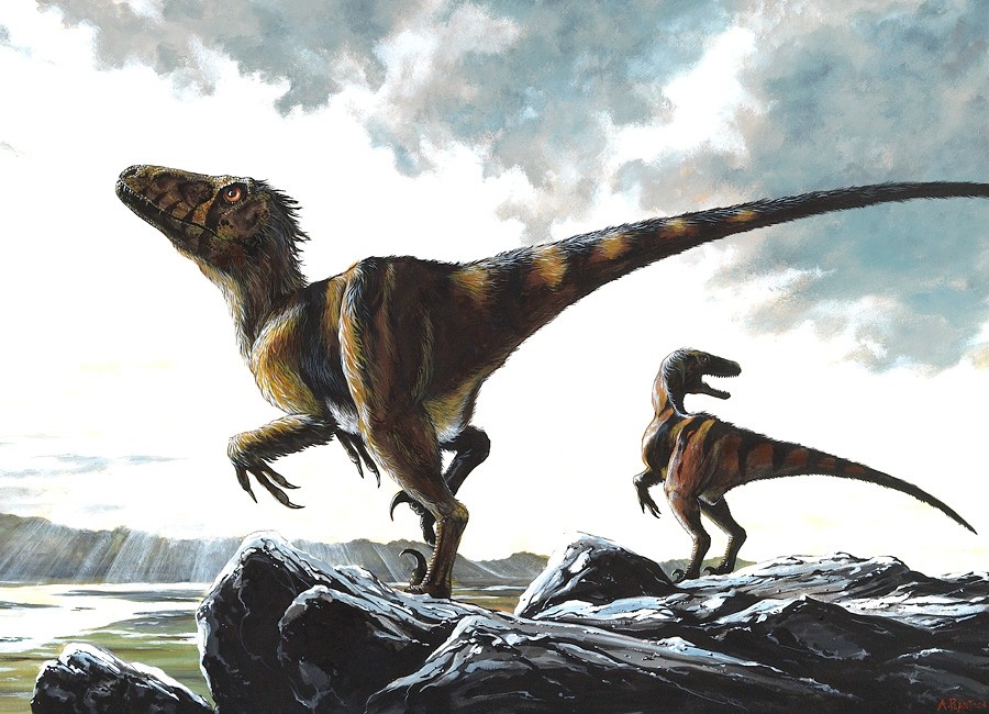 Deinonychus - Wikipedia