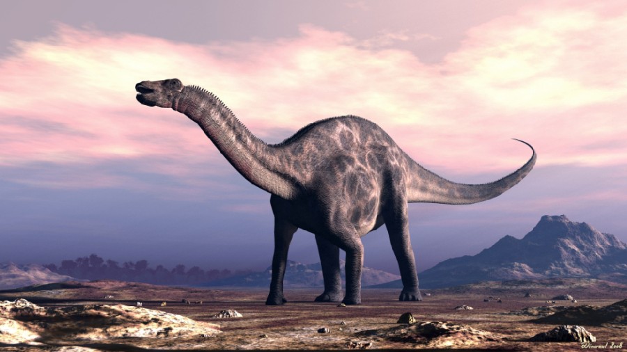 Dicraeosaurus Pictures & Facts The Dinosaur Database