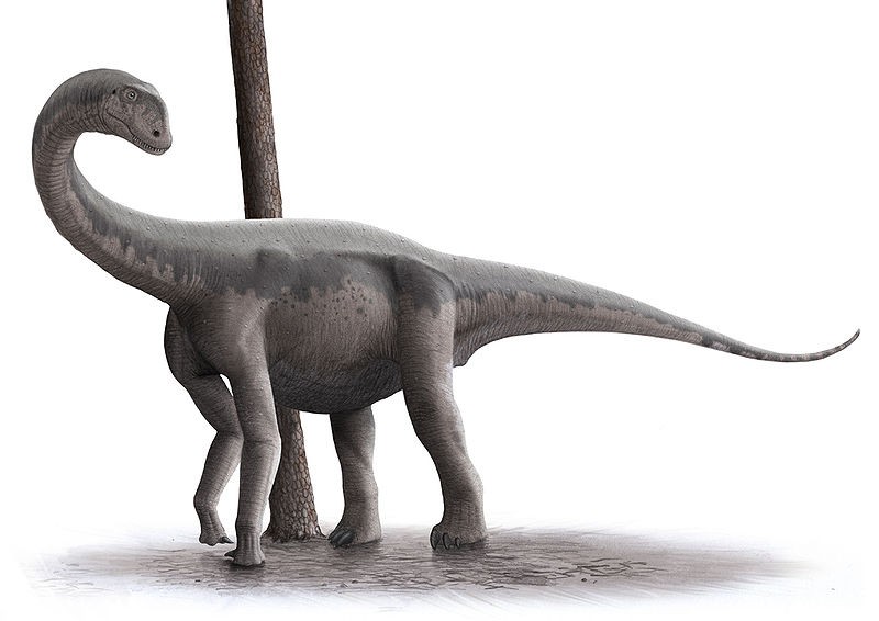 Algoasaurus