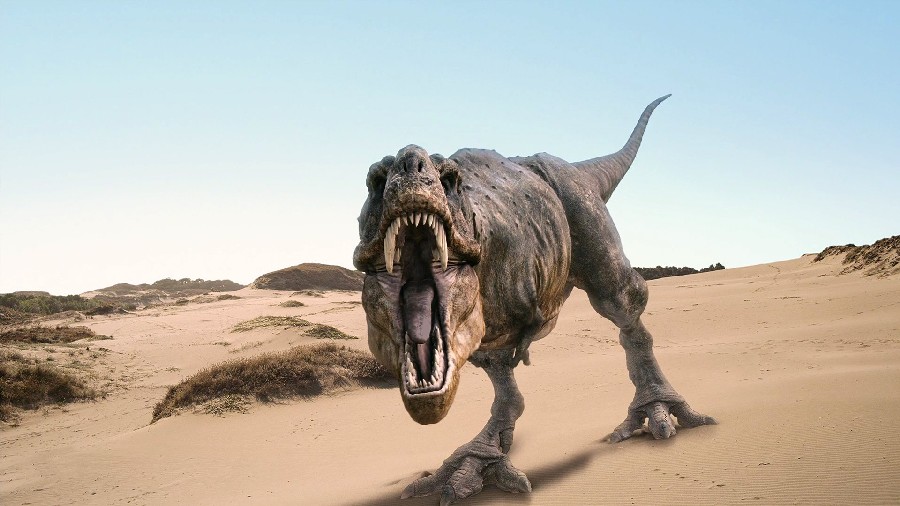 Tyrannosaurus
(Тираннозавр), Cretaceous
(Меловой период)