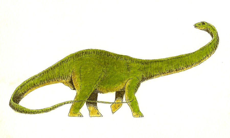 Diplodocus
(Диплодок), Jurassic
(Юрский период)