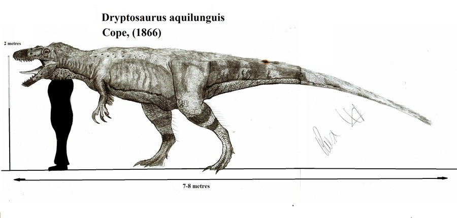 Image result for images of dryptosaurus