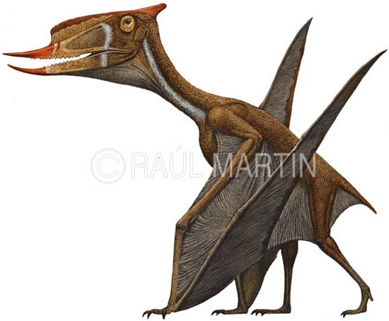Dsungaripterus
