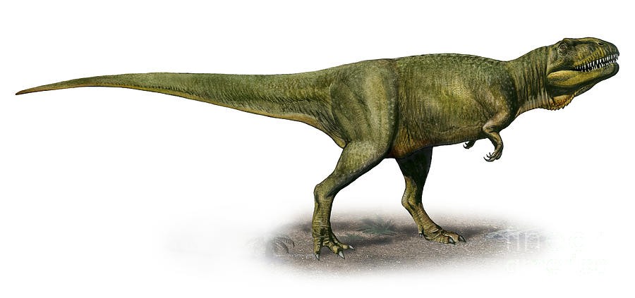 Duriavenator, Jurassic
(Юрский период)