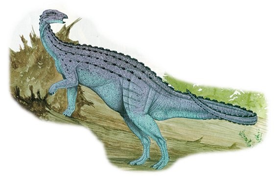 Emausaurus