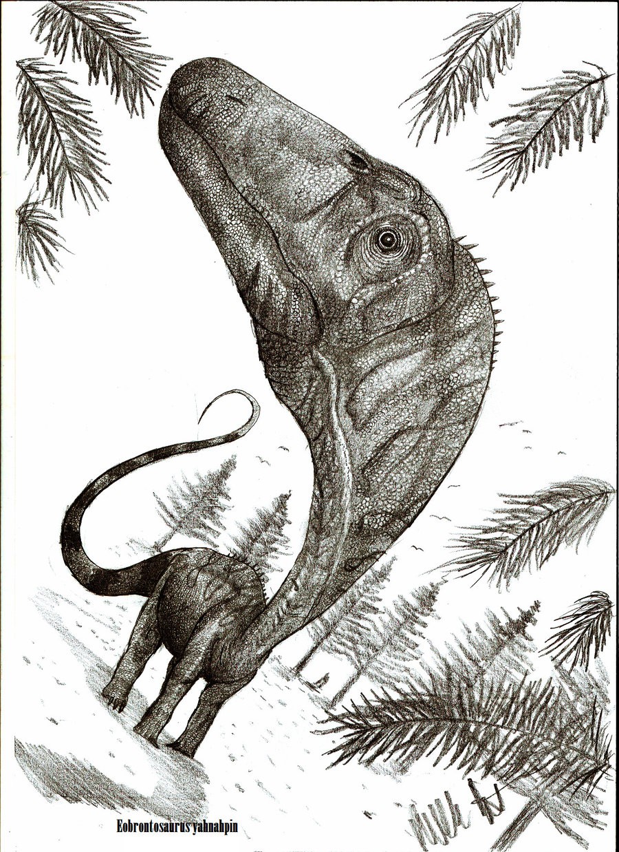 Eobrontosaurus