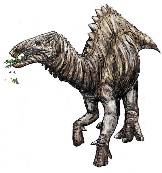 Eolambia, Cretaceous
(Меловой период)