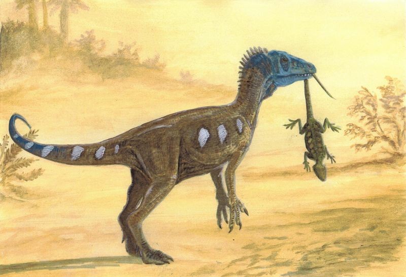 Eoraptor
(Эораптор), Triassic
(Триасовый период)