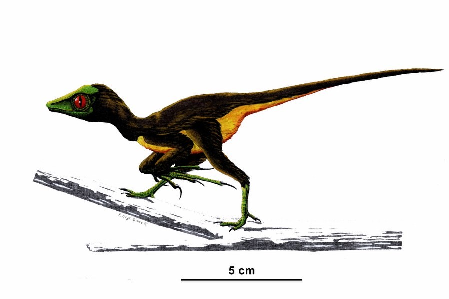 Epidendrosaurus