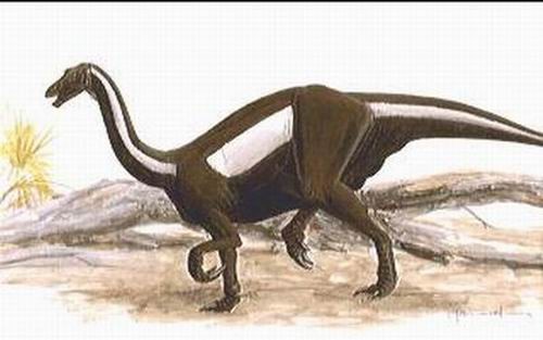 Erlikosaurus