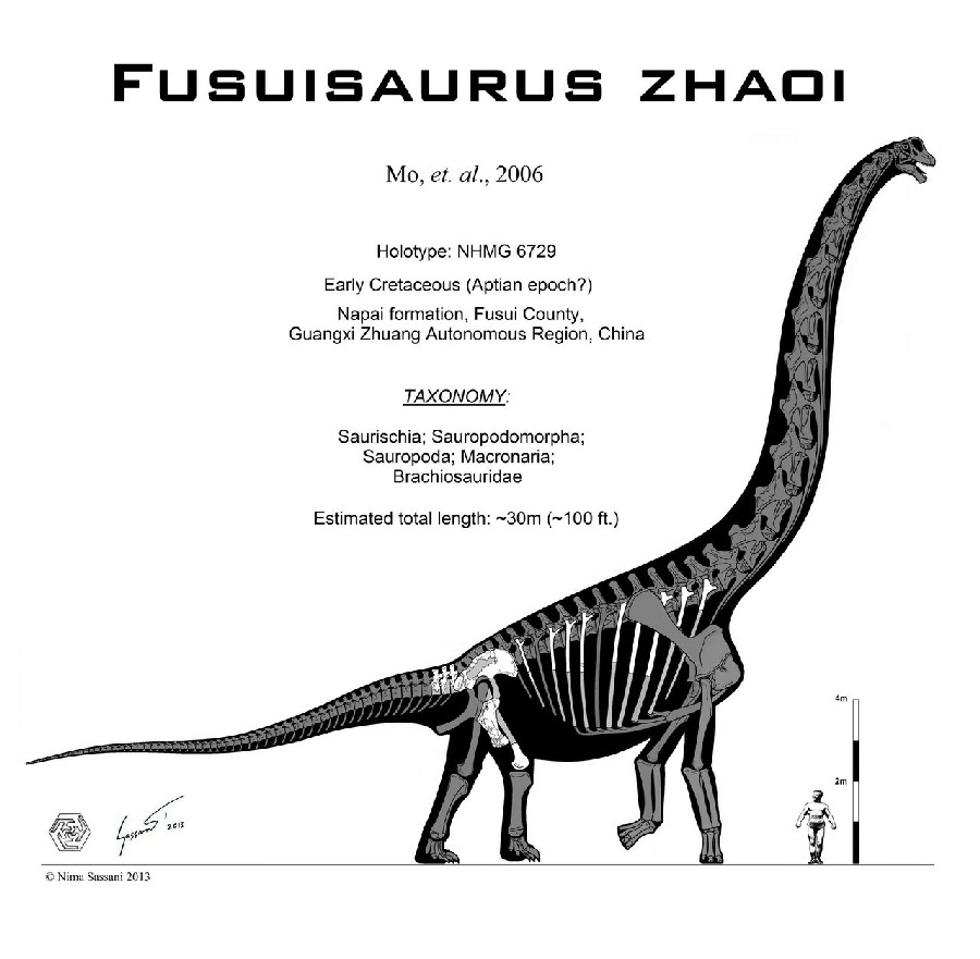 Fusuisaurus, Cretaceous
(Меловой период)