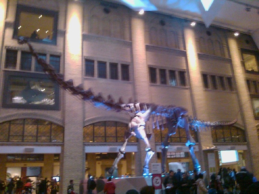 Futalognkosaurus