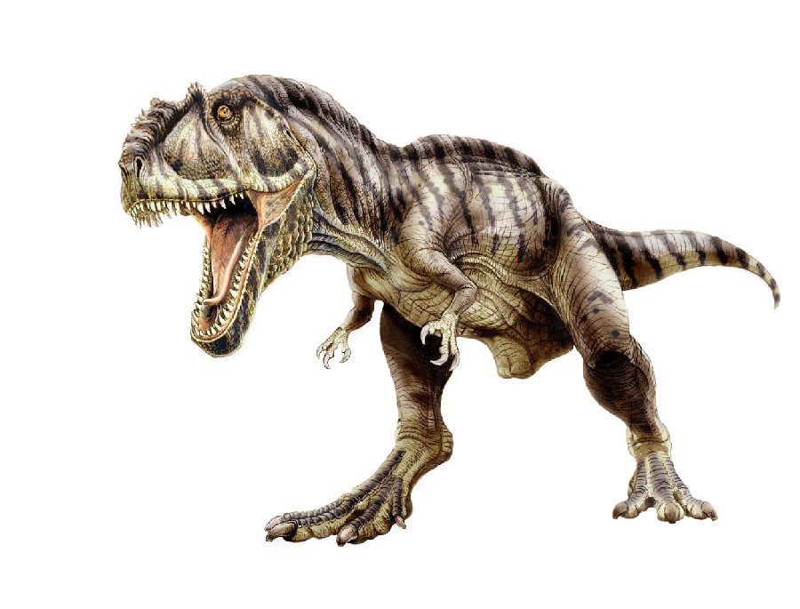 Giganotosaurus Pictures Facts The Dinosaur Database Giganotosaurus Pictures Facts The Dinosaur Database