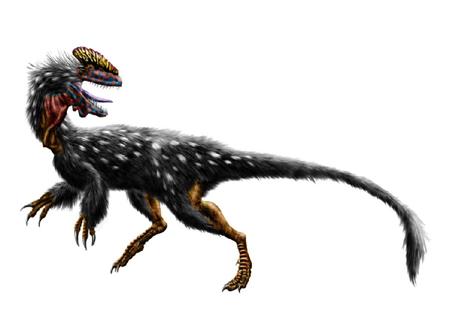 guanlong_wucaii_by_durbed-d4we433_bf67.jpg