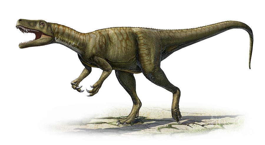 Herrerasaurus
(Герреразавр), Triassic
(Триасовый период)