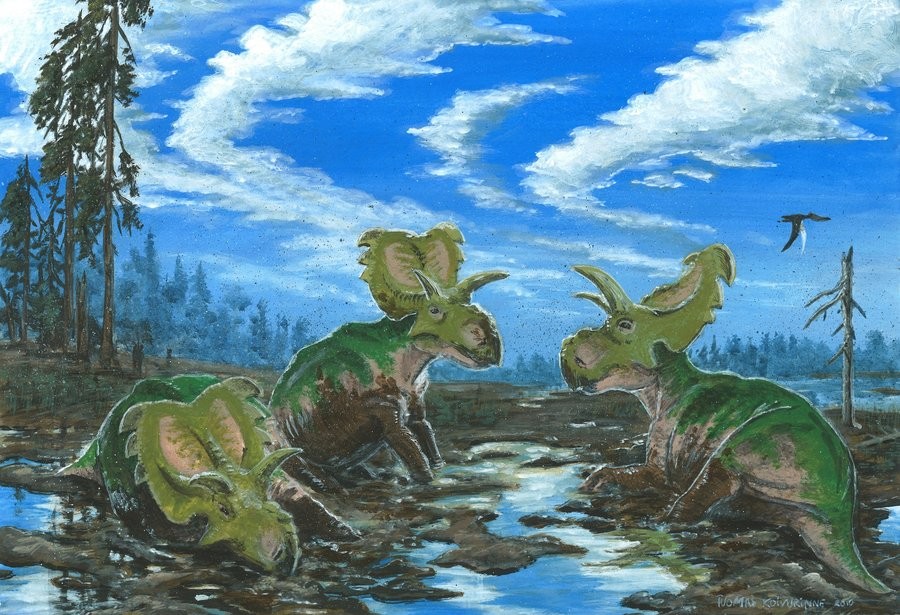 Medusaceratops