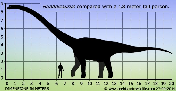 Huabeisaurus
