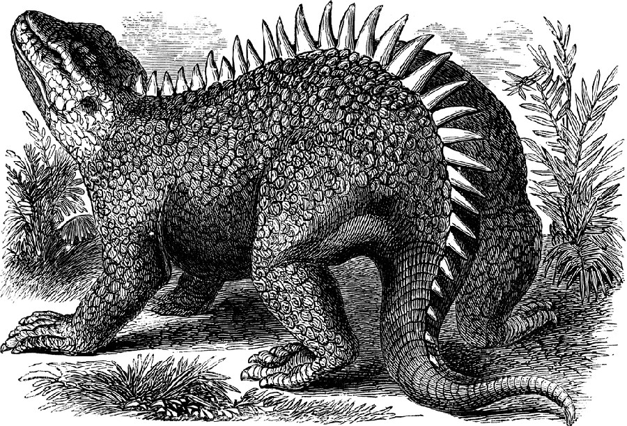 Hylaeosaurus