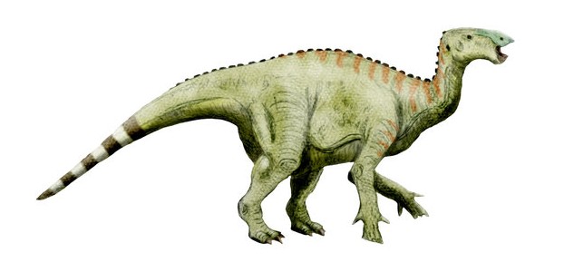 Hypselospinus, Cretaceous
(Меловой период)