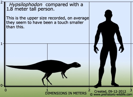Hypsilophodon