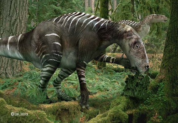 Iguanodon Pictures & Facts - The Dinosaur Database