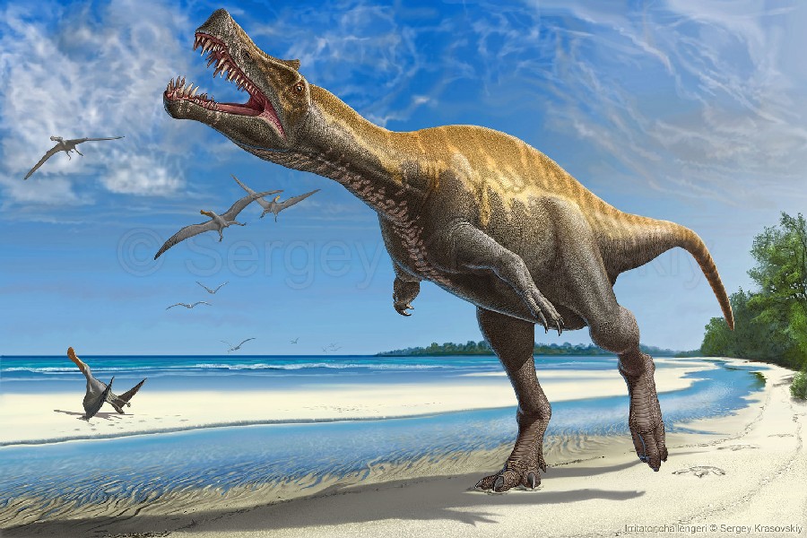 Irritator Pictures Facts The Dinosaur Database