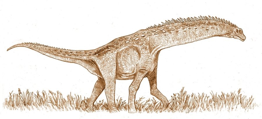 Isisaurus
