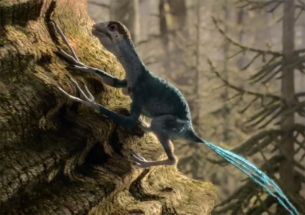 Epidexipteryx ile ilgili gÃ¶rsel sonucu