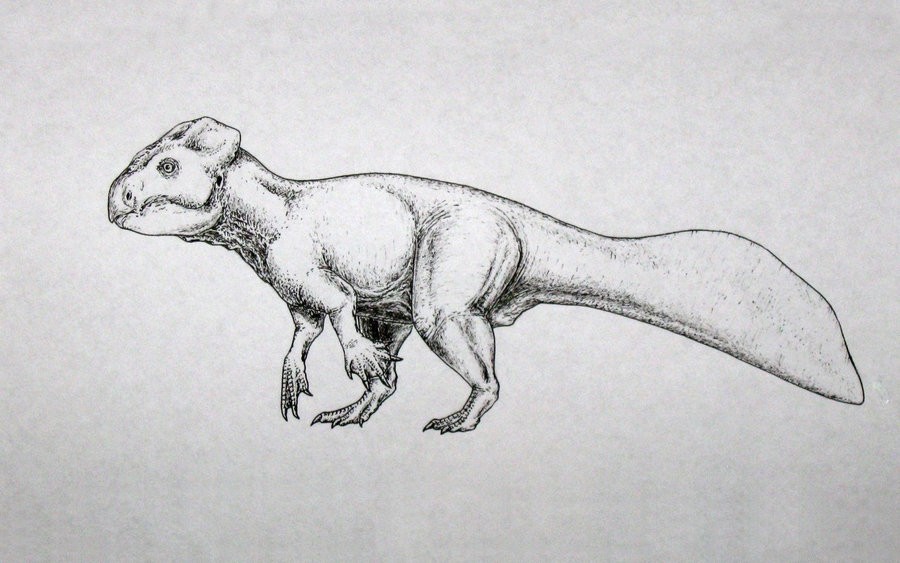 Koreaceratops
