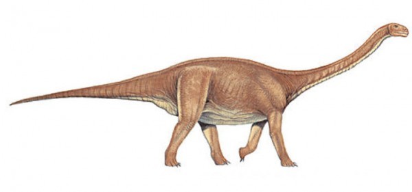 Kunmingosaurus