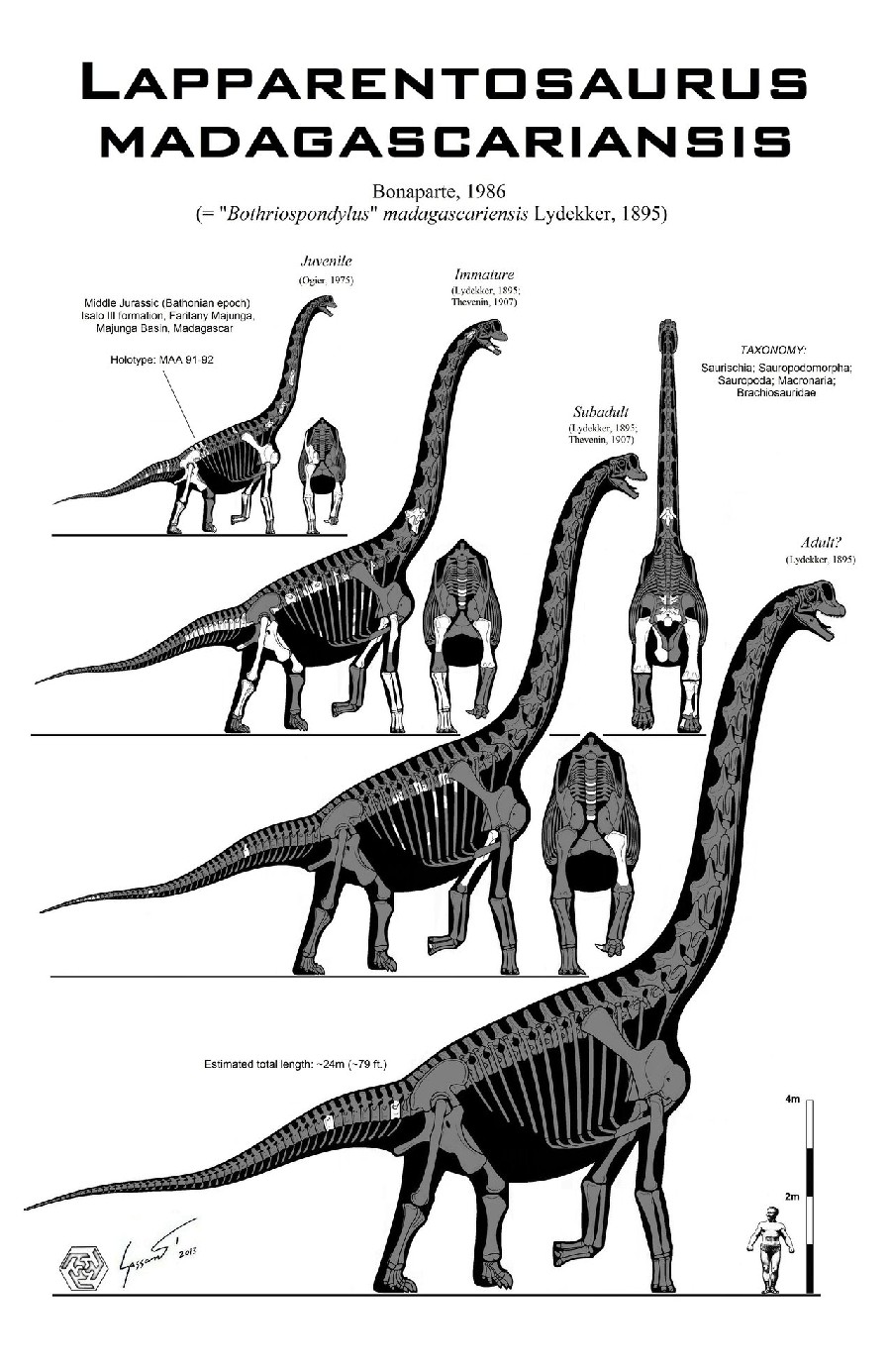Lapparentosaurus