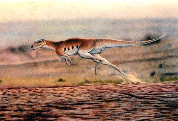 Lesothosaurus Pictures & Facts - The Dinosaur Database