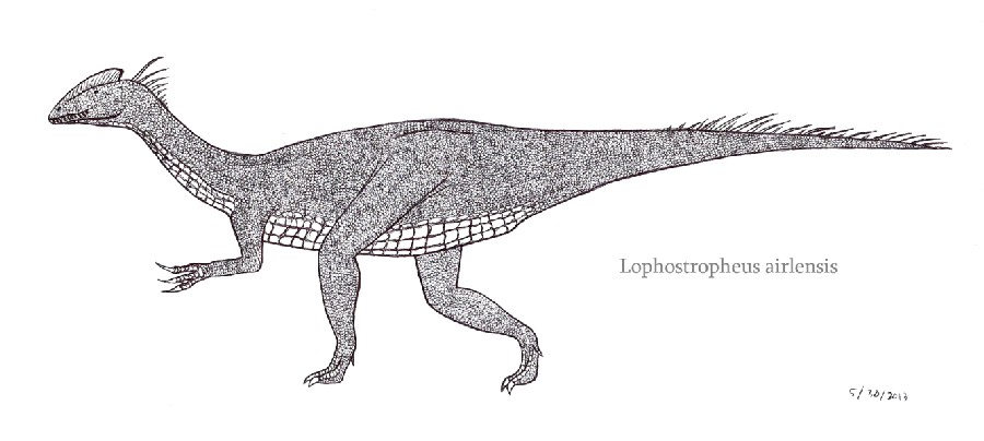 Lophostropheus