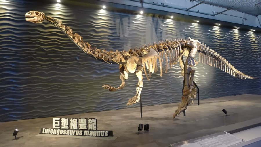 Lufengosaurus