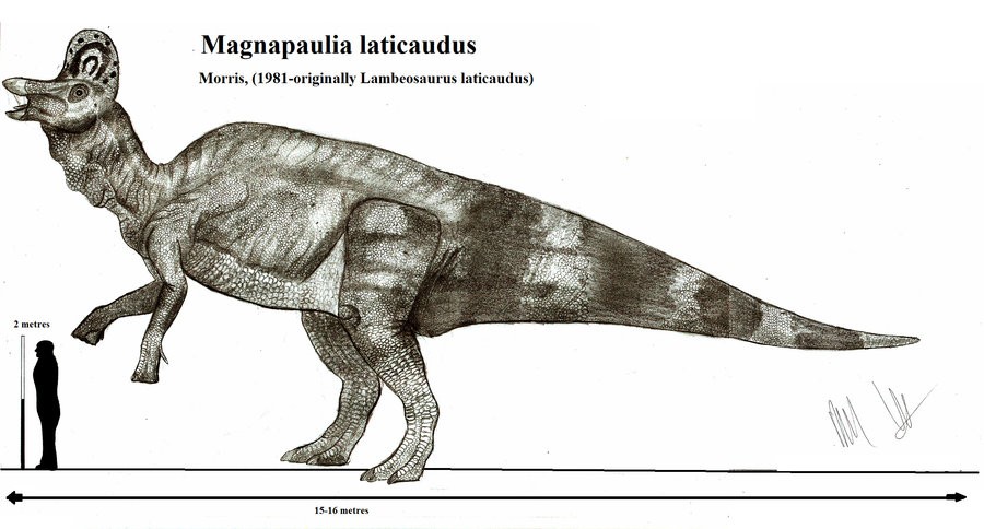 Magnapaulia, Cretaceous
(Меловой период)