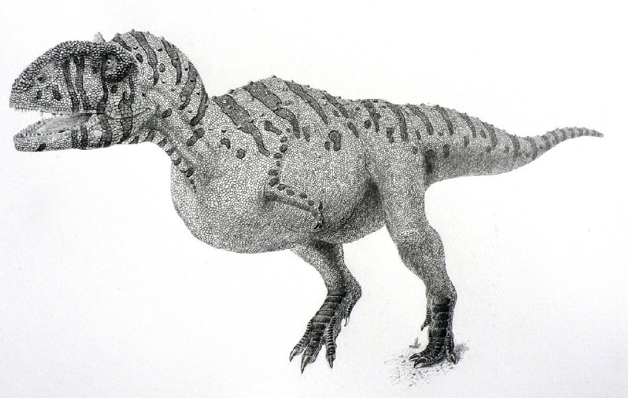 Majungasaurus