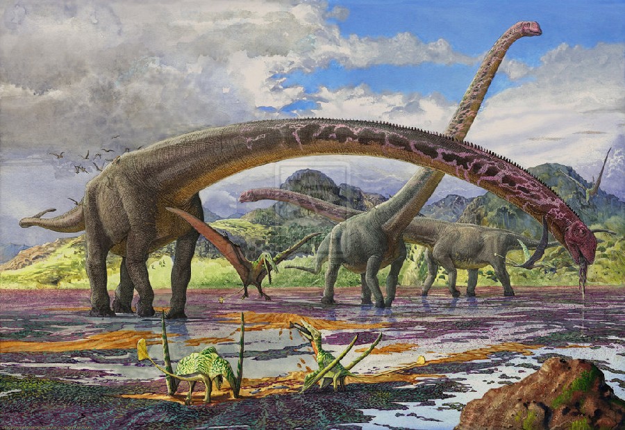 mamenchisaurus_by_atrox1-d6kg2m2_39d3.jpg
