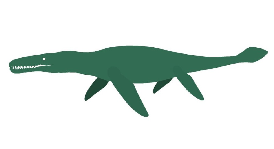 Megalneusaurus