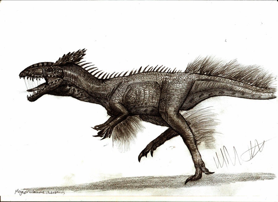 Megapnosaurus
(Целофиз), Jurassic
(Юрский период)