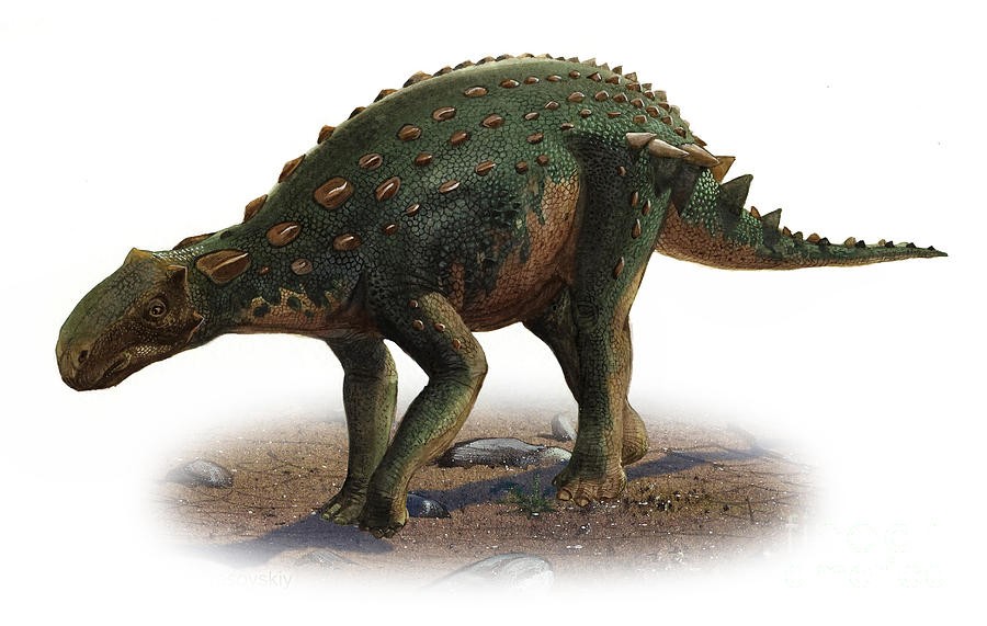 Minmi, Cretaceous
(Меловой период)