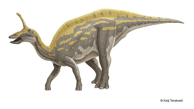 mm-tsintaosaurus-illustration-big_d255.jpg