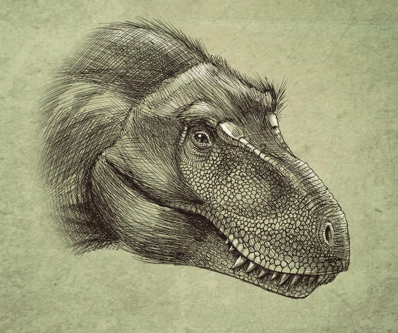 Nanuqsaurus
(Нанукзавр), Cretaceous
(Меловой период)
