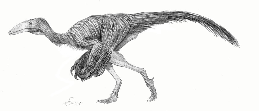 Nqwebasaurus